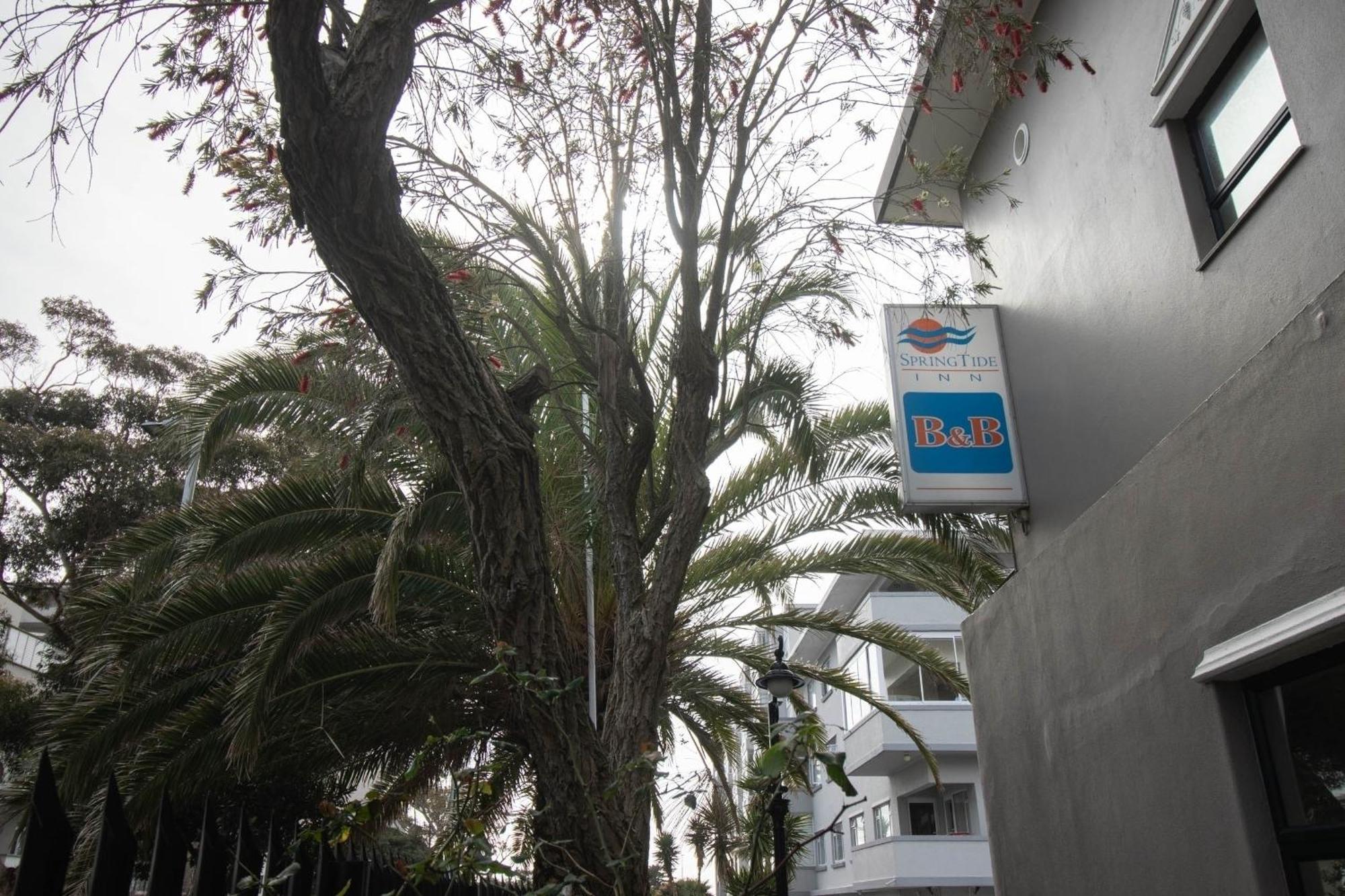 Spring Tide Inn Cape Town Bagian luar foto